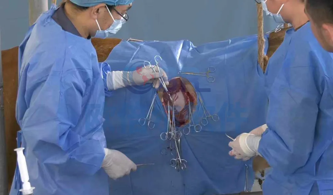 1731892879635303.jpg 1731892870897.jpg