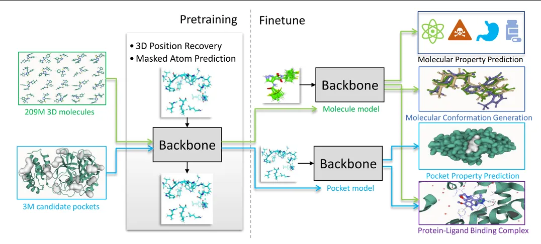 1747359527487429.jpg 1747359523603.jpg