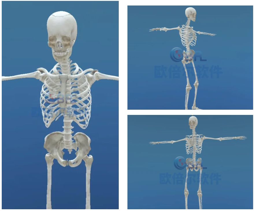 1751851286636.png