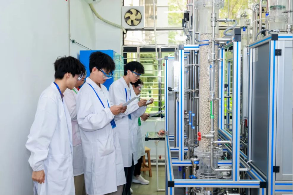 1755136226158544.png 1755136218504.png