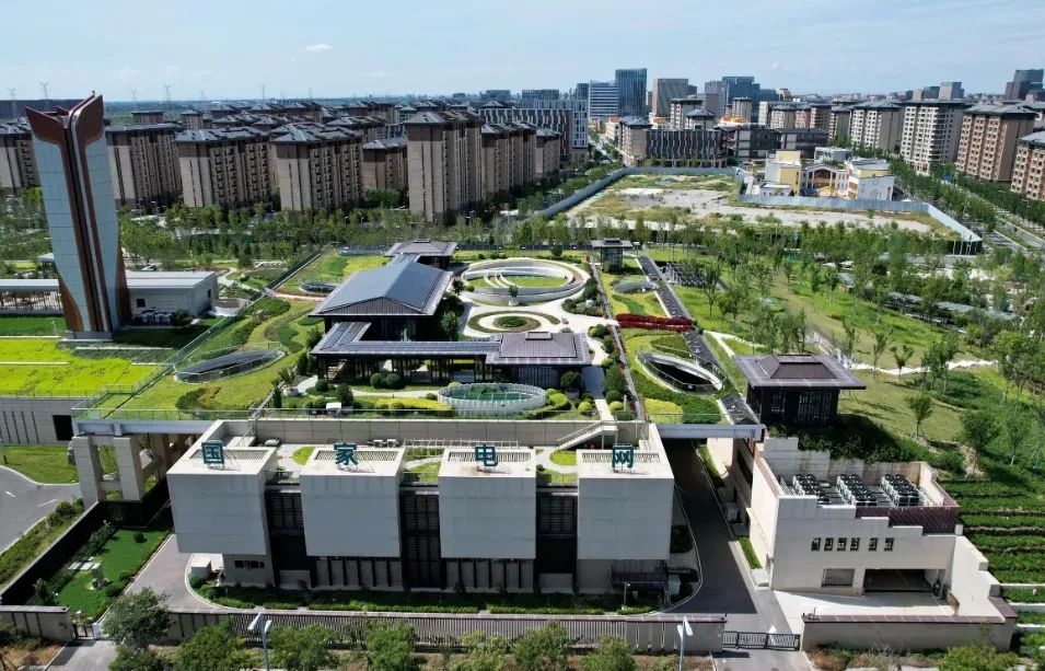 1765350377869738.png a15fbf90-8160-400b-ab4f-b6068b9d8b9f.png