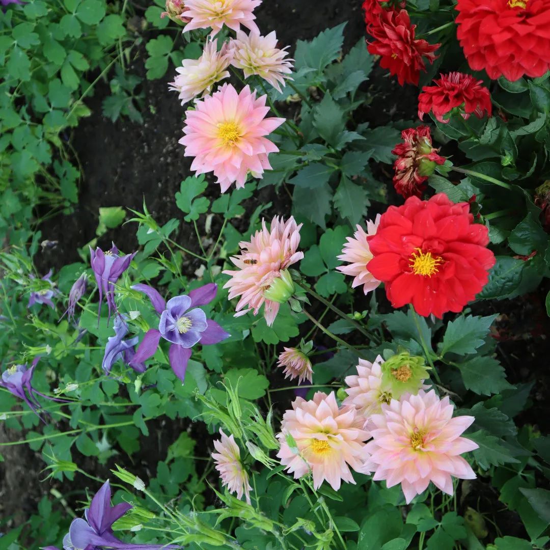 d55470b6-8b7f-48f6-8ea3-d81b7067f2fc.png