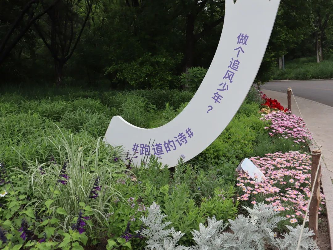 91433bc2-4f8d-4941-8c05-a9403ef58556.png