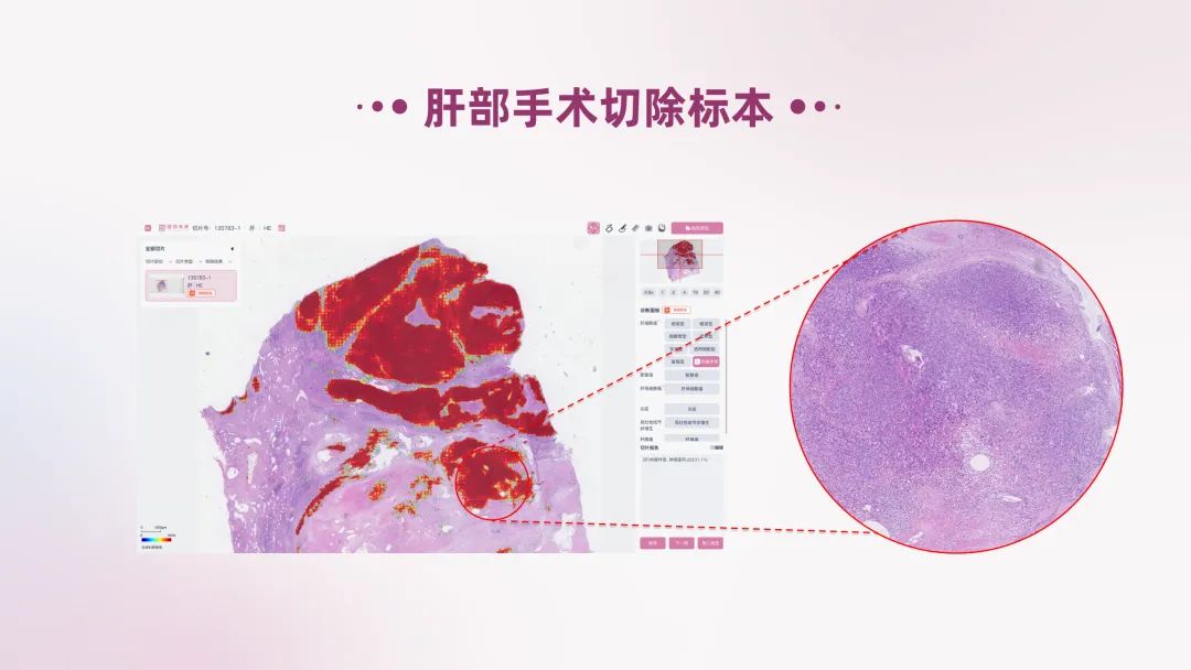 c1033bf9-cf97-4b4c-9ad6-a0e6d29f75bc.png