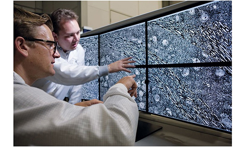 1519796953357014215.jpg image002.jpg