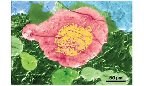 1519796969923054988.jpg image003.jpg