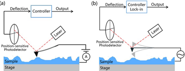 1536072416599067621.png image001.png