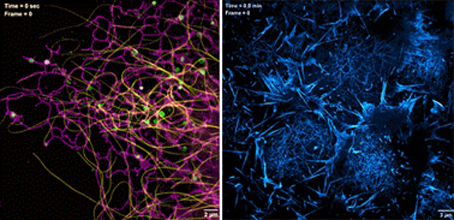 改image002 复制.jpg