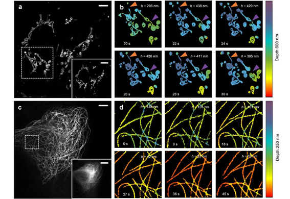 1544788813251017593.jpg 改image002.jpg