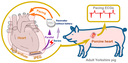 1552992937390068075.png image003.png