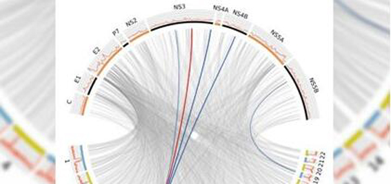 1553482154974029094.jpg 改image001.jpg