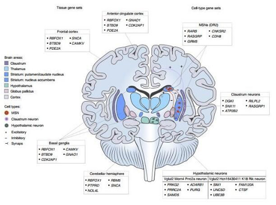 1553482176031057531.jpg 改image002.jpg