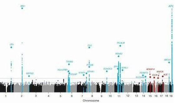 1553482223929074157.jpg 改image004.jpg