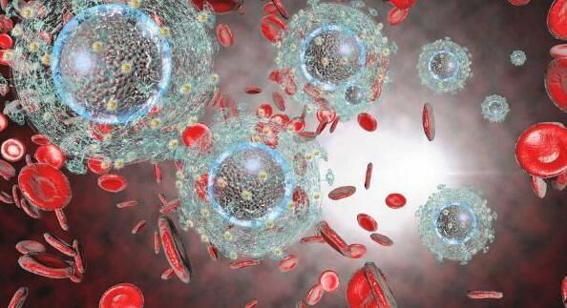 1553482242271020109.jpg 改image005.jpg