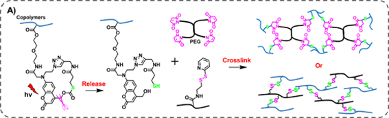 1558712765584064753.jpg 改image001 复制.jpg