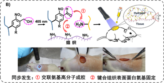 1558712791258031797.jpg 改image002 复制.jpg