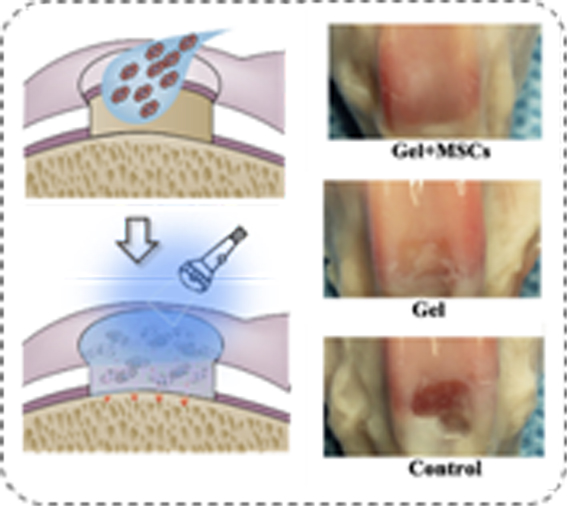 1558712837625095418.jpg 改image003 复制.jpg
