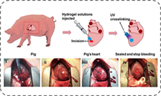 1558712900094069455.jpg 改image004 复制.jpg