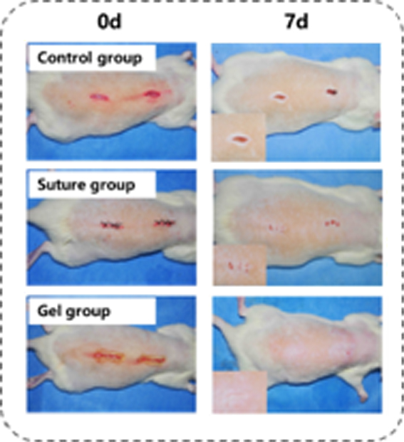 1558712944283081102.jpg 改image005 复制.jpg