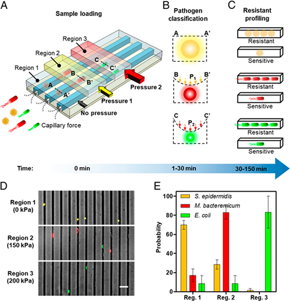 1559037882365037887.jpg 改image002 复制.jpg