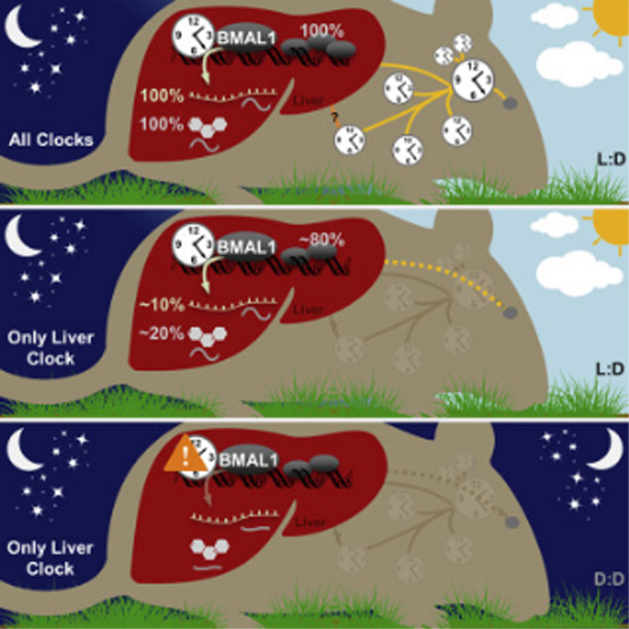 改image003 复制.jpg