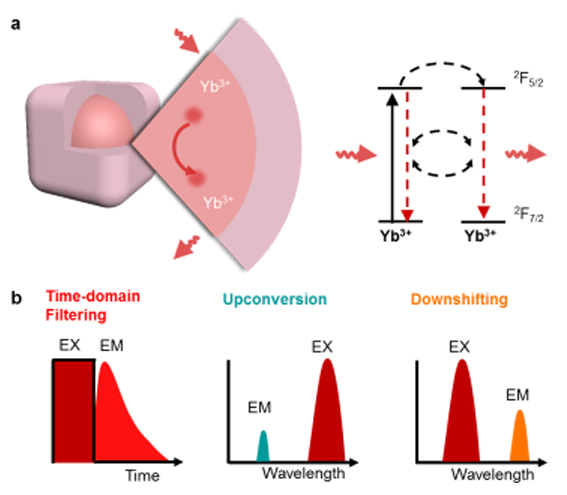 1563174992736098765.jpg 改image002 复制.jpg