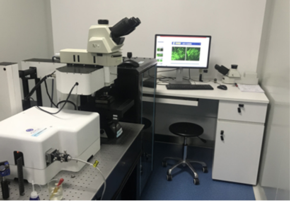 改mage002 复制.jpg