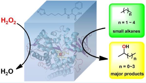 1563980021878008543.jpg image001.jpg