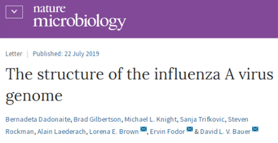 改image003 复制.jpg