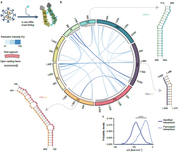 改image004 复制.jpg