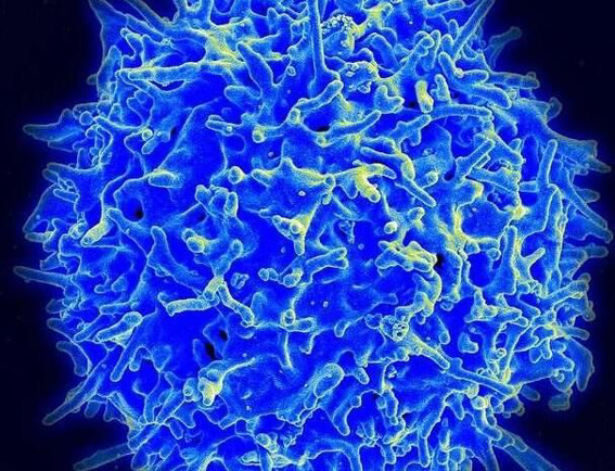 1566960698436077589.jpg 改image002.jpg