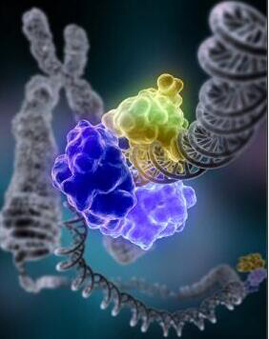 1566960767826096992.jpg 新改image001.jpg