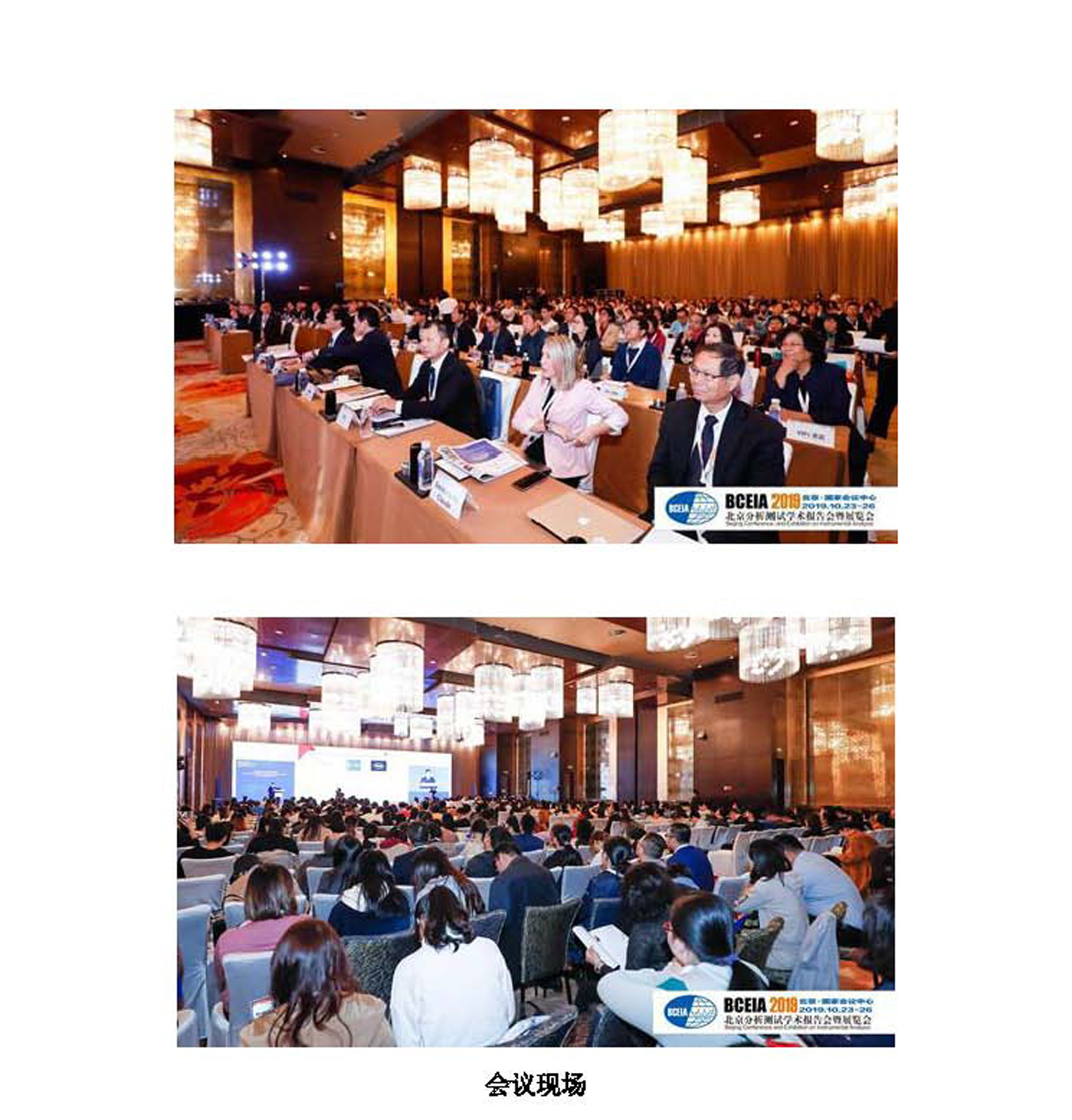 g12-2019年第11期_页面_12.jpg