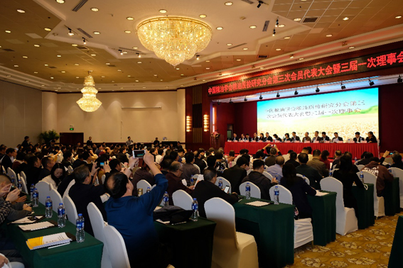 1577975293933032814.jpg gimage001.jpg