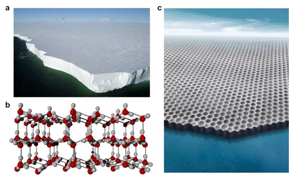 1577979596888010908.jpg gimage001.jpg