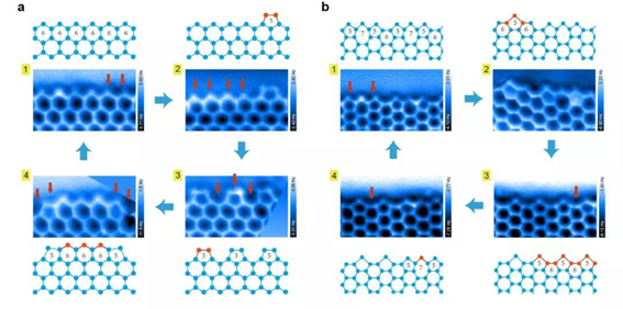 1577979737987043331.jpg gimage003.jpg