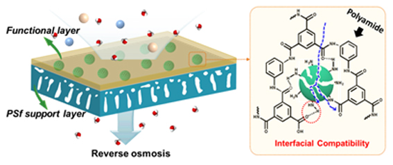 gimage002 复制.jpg