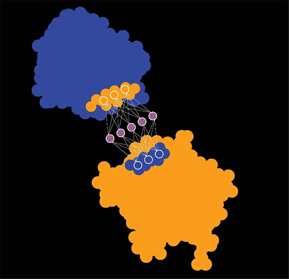 gimage004 复制.jpg