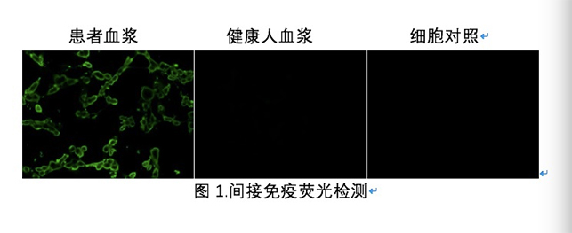 1581609067426074980.jpg gimage001 复制.jpg