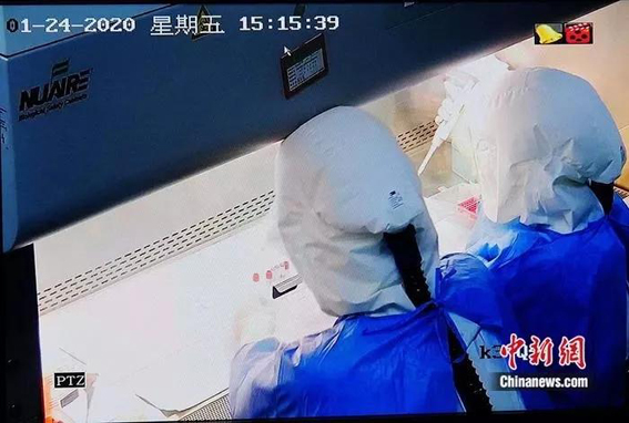 1581950244918036661.jpg gimage003.jpg