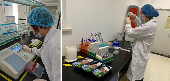 gimage017 复制.jpg