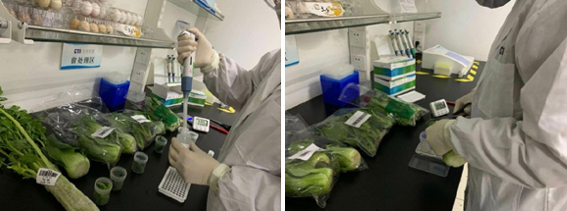 gimage019 复制.jpg