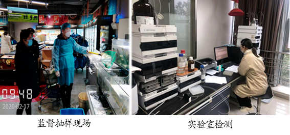 gimage011 复制.jpg