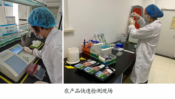 gimage017 复制.jpg