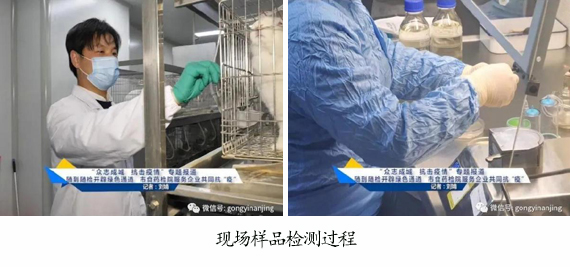 gimage028 复制.jpg