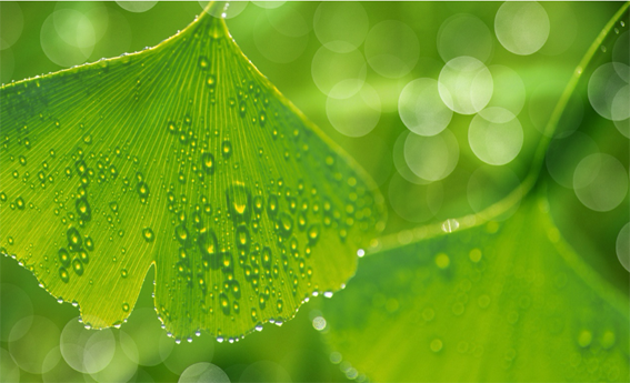 1587315913269046971.png gimage001.png