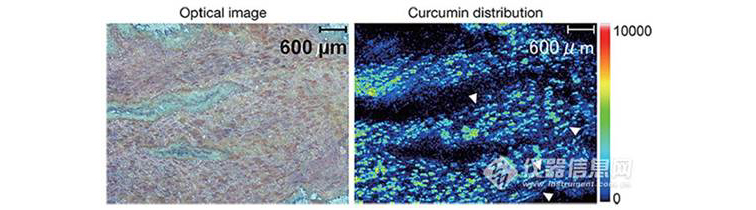 1592882408837023606.jpg aaimage002.jpg