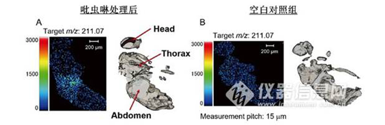 1592882473385051491.jpg aaimage006.jpg