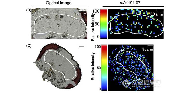 1592882491414031432.jpg aamage008.jpg