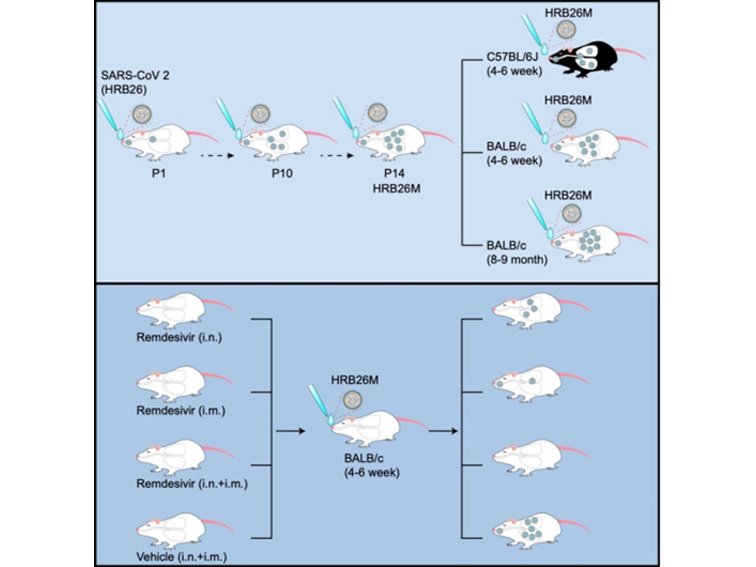 1597240738579003505.jpg aimage001.jpg